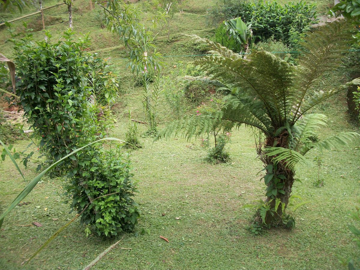 Chales Vale Verde Visconde De Maua Exterior photo