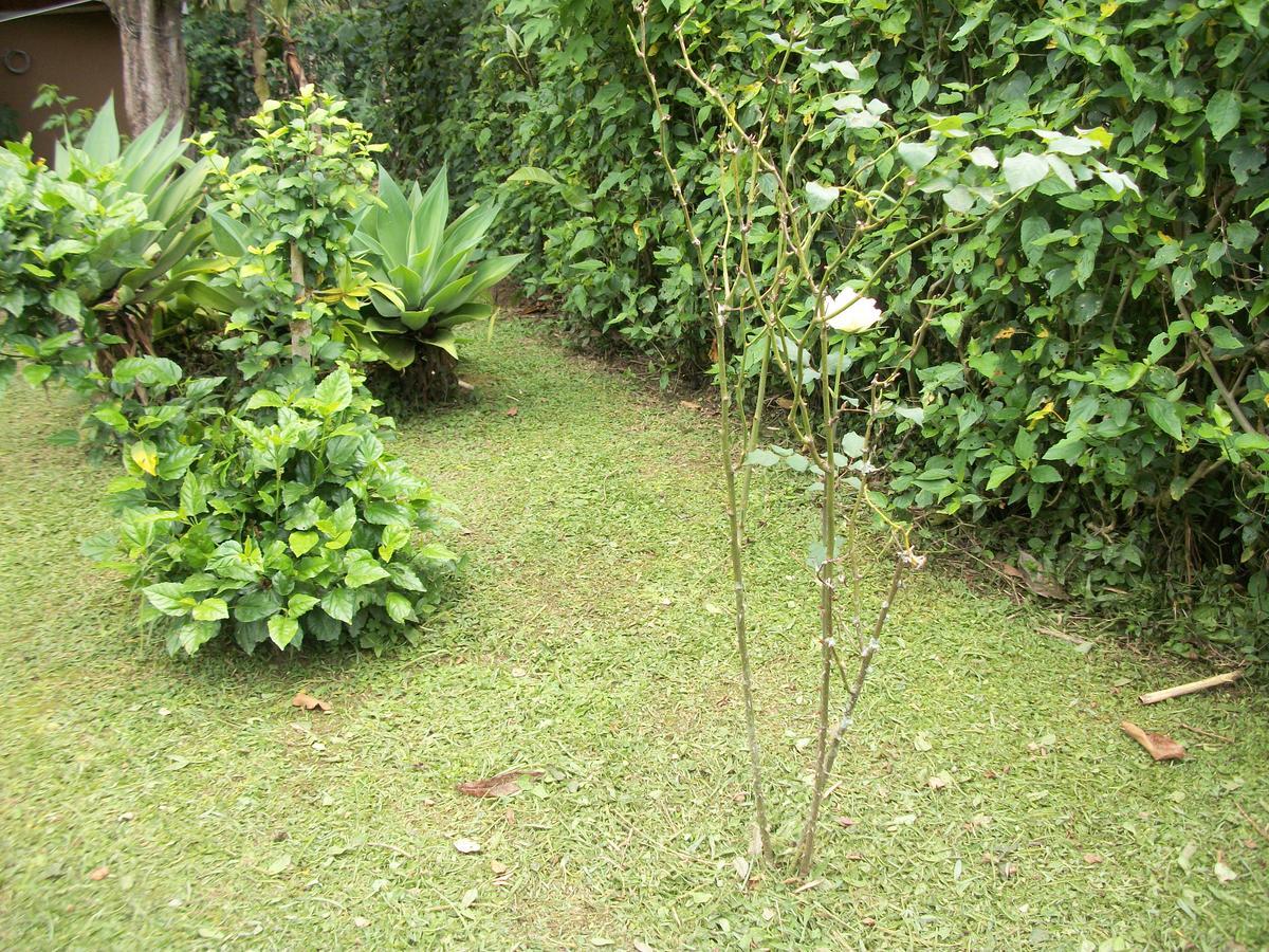Chales Vale Verde Visconde De Maua Exterior photo